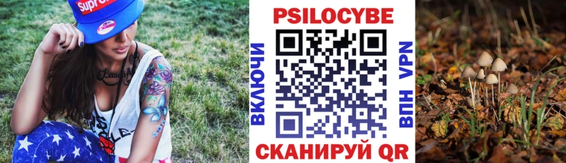 Псилоцибиновые грибы MAGIC MUSHROOMS  Калининец 